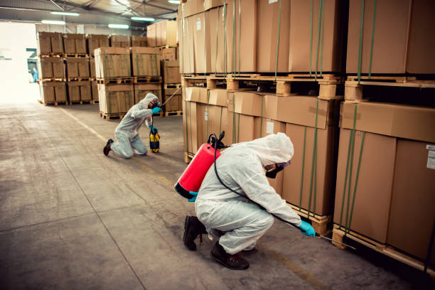 Best Affordable Pest Control Services  in Angier, NC