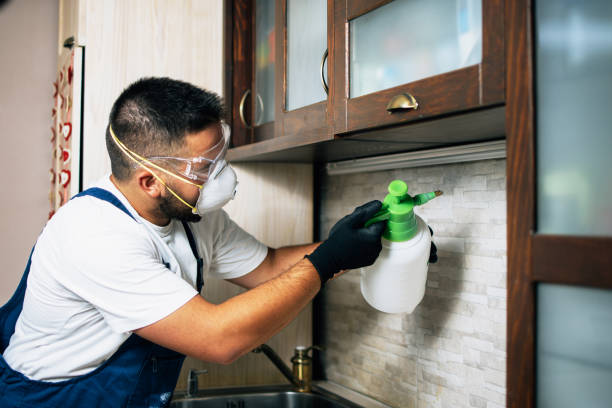 Best Rat Extermination Near Me  in Angier, NC