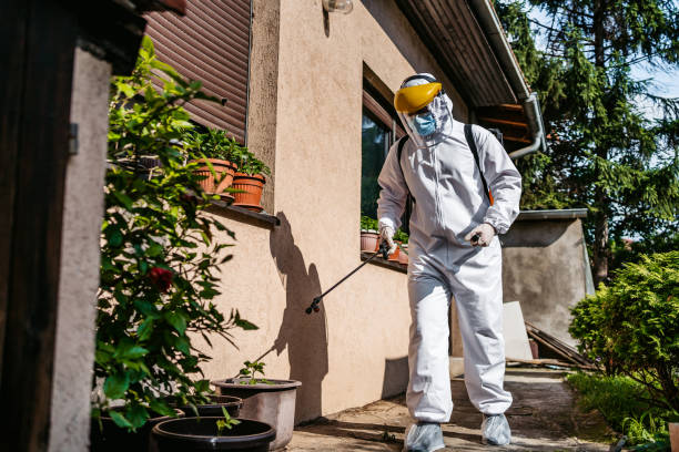 Flea Control Services in Angier, NC