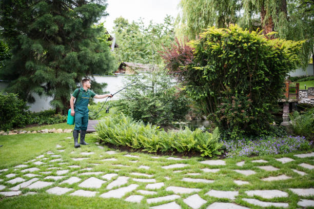 Best Mosquito Control Services  in Angier, NC