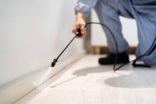 Wildlife Control Services in Angier, NC