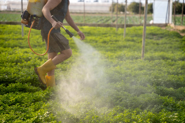 Reliable Angier, NC Pest Control Solutions