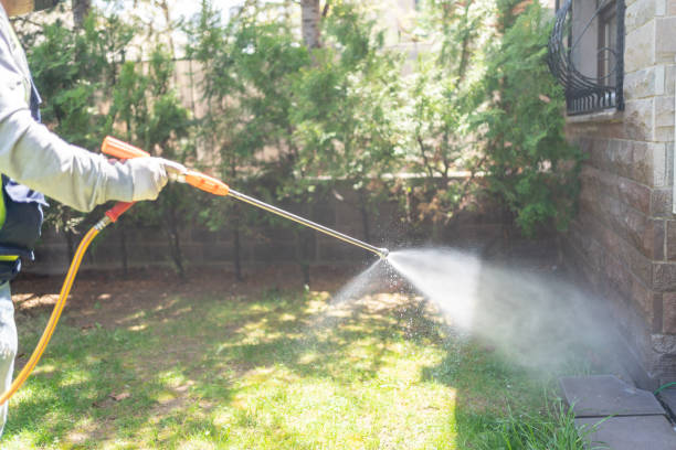 Best Cockroach Control Services  in Angier, NC