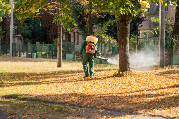 Best Affordable Pest Control Services  in Angier, NC