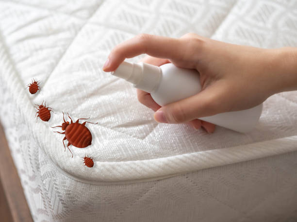 Best Commercial Pest Control Services  in Angier, NC
