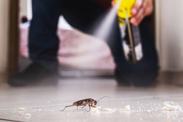 Best Pest Removal Services  in Angier, NC