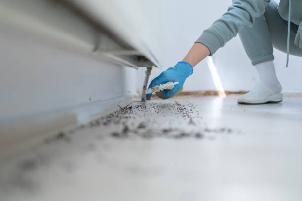 Best Rodent Control Near Me  in Angier, NC
